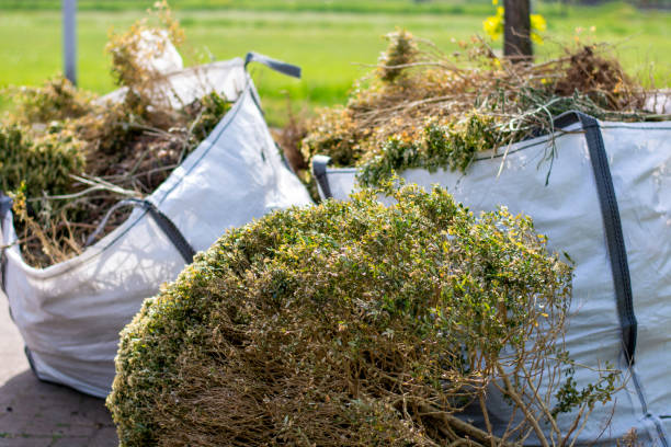 Best Construction Debris Removal  in Rocky River, OH