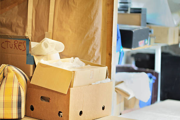 Best Dumpster Rental Services  in Rocky River, OH
